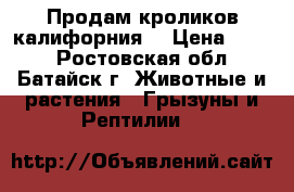Продам кроликов калифорния  › Цена ­ 180 - Ростовская обл., Батайск г. Животные и растения » Грызуны и Рептилии   